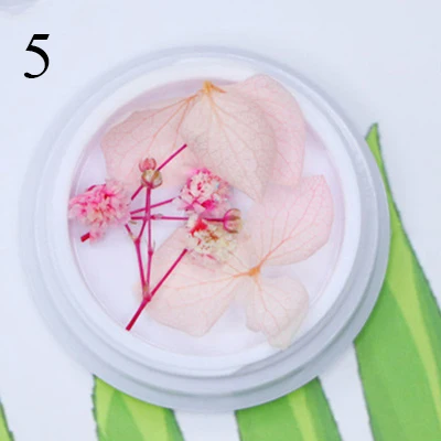 5 Natural Nail Dried Flowers Decoration Mix Dry Flower And Leaf Decor 3D Nail Art Designs Gypsophila Manicure Accessories - Цвет: 5