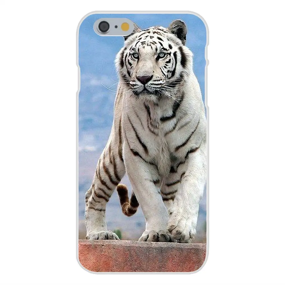 Белый Бенгальский Тигр для Apple iPhone 4 4S 5 5C 5S SE 6 6S 7 8 Plus X XS Max XR Прозрачный чехол