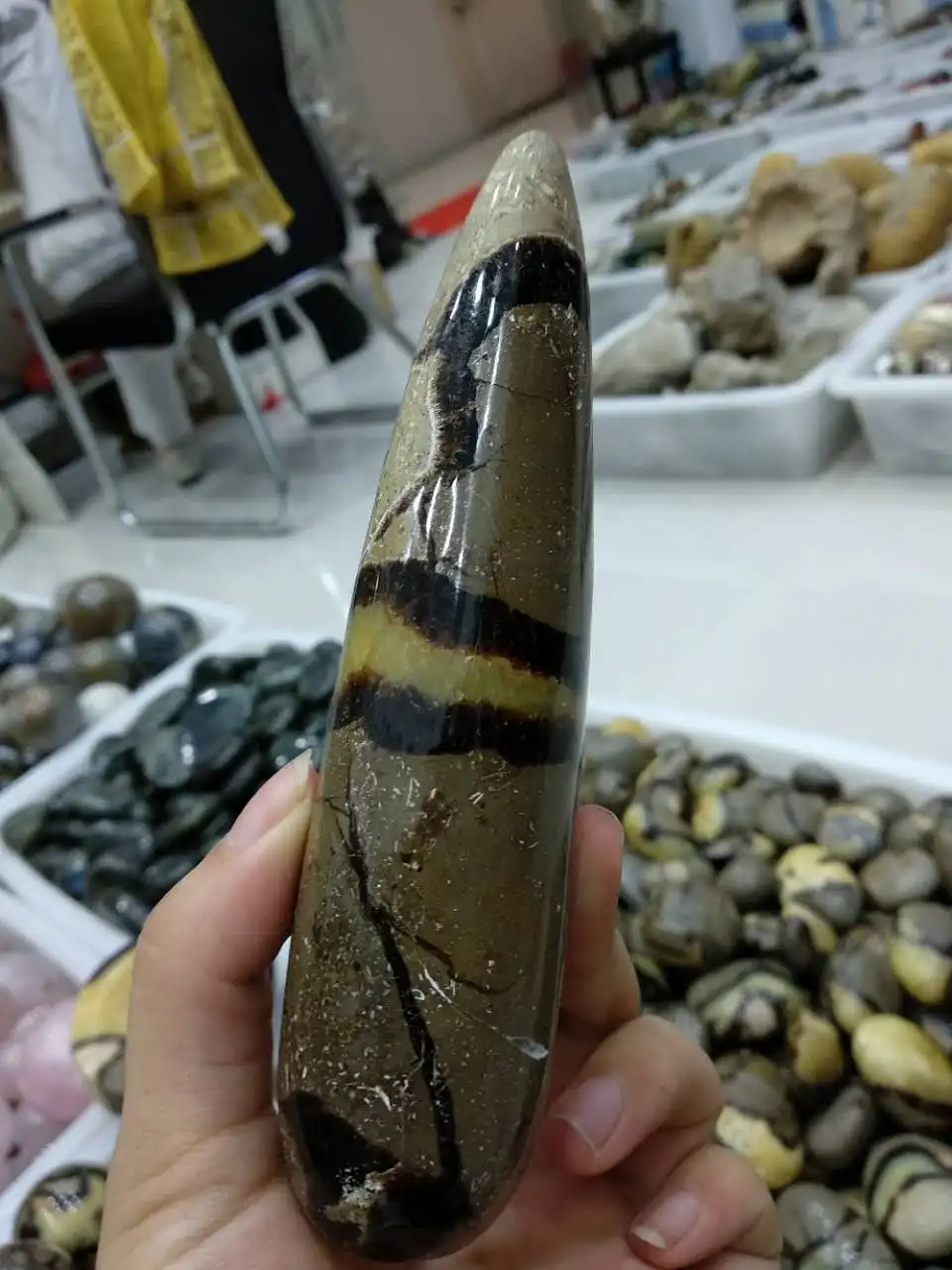 Натуральный редкий септарийский нодул ископаемый кристалл здоровье массажная