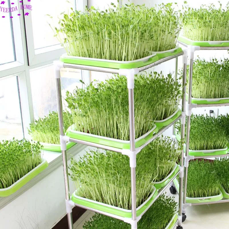 1 компл. Садовый горшок поддержка Soilless культивирование Поддержка Полка рассады росток гидропоники бобов Овощной поднос кронштейн
