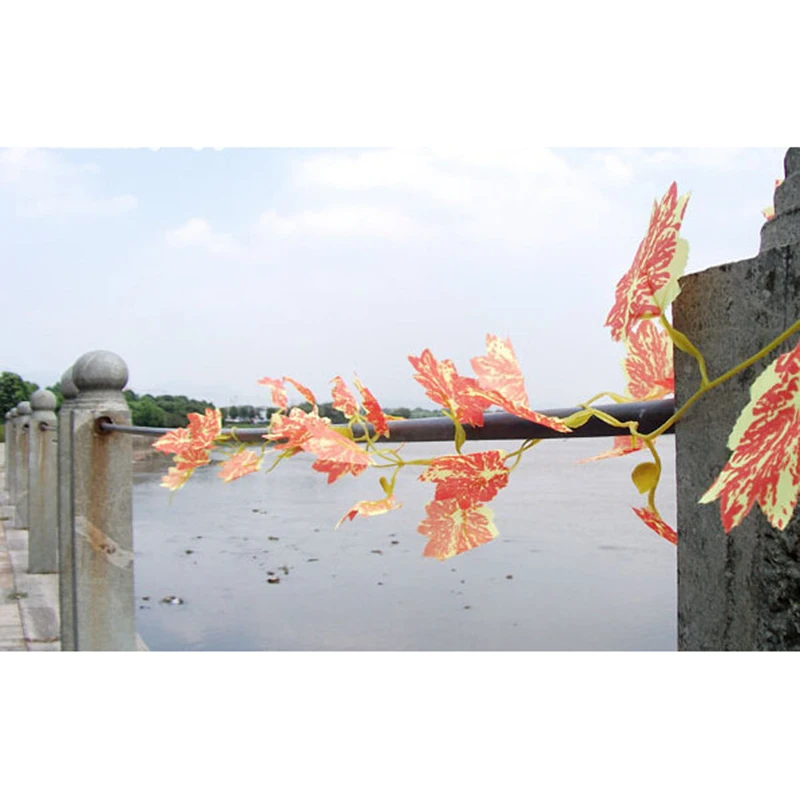 2.4 М Долго Моделирования Восьмиугольная Красный Кленовый Лист Тростника Полосой