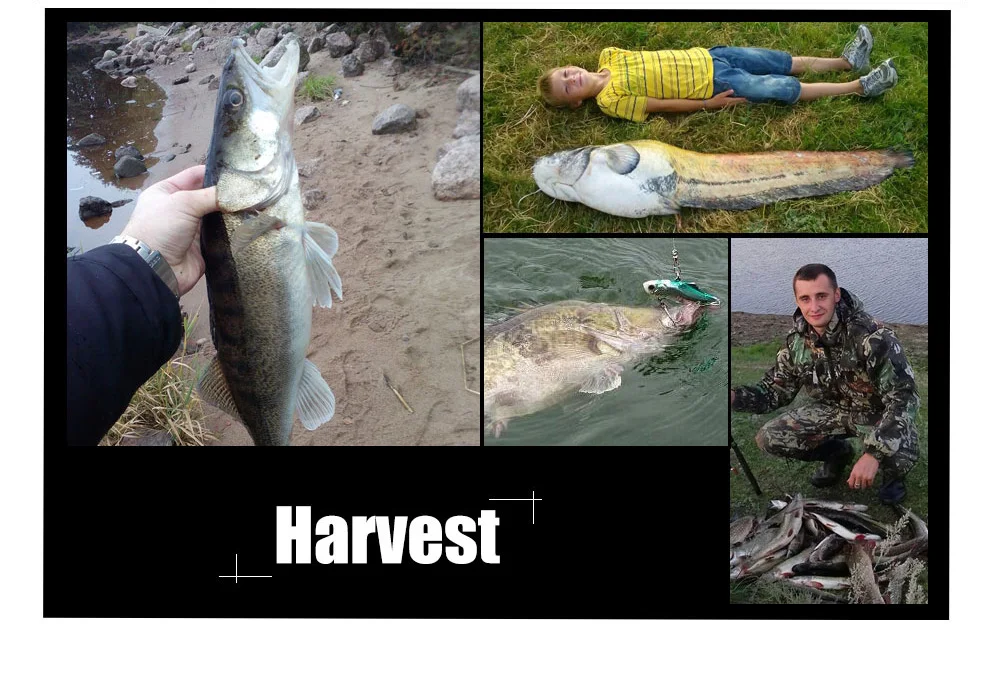 Рыбы король FISHKING 1 шт. Fly Box 10 см* 7 см Вес: 77 г-Ёмкость контейнером с наживкой плотность нахлыстом коробка для рыбной ловли, Рыбная ловля комплект