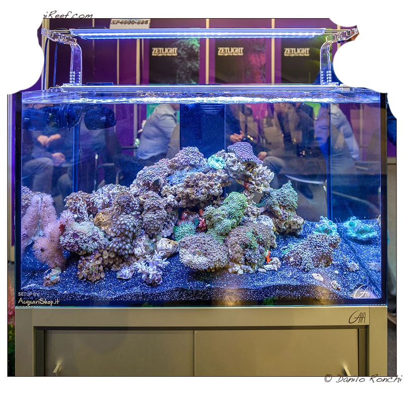 Zetlight Lancia LED освещение для пресной воды морской аквариум Coralline лампа ZP 4000 полный