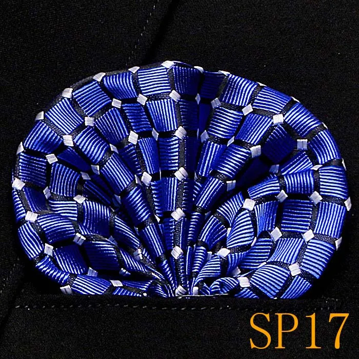 SP17 Скидка, новинка, мужские шелковые носовые платки, цветочный рисунок, Пейсли, карманные квадраты, для костюмов, курток, свадеб, вечеринок, бизнес, много узоров - Цвет: SP17