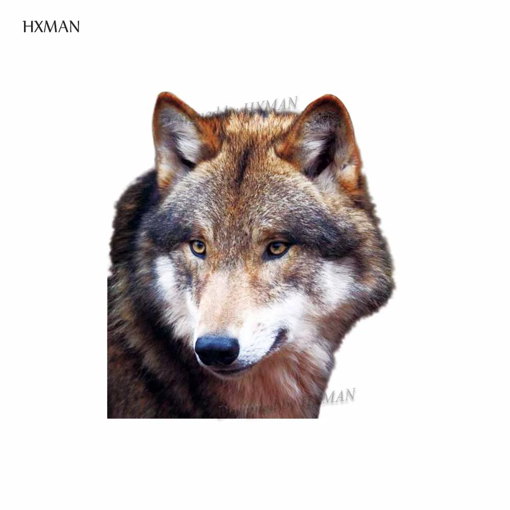 Временная Акварельная тату HXMAN Wolf водостойкая Женская наклейка имитация