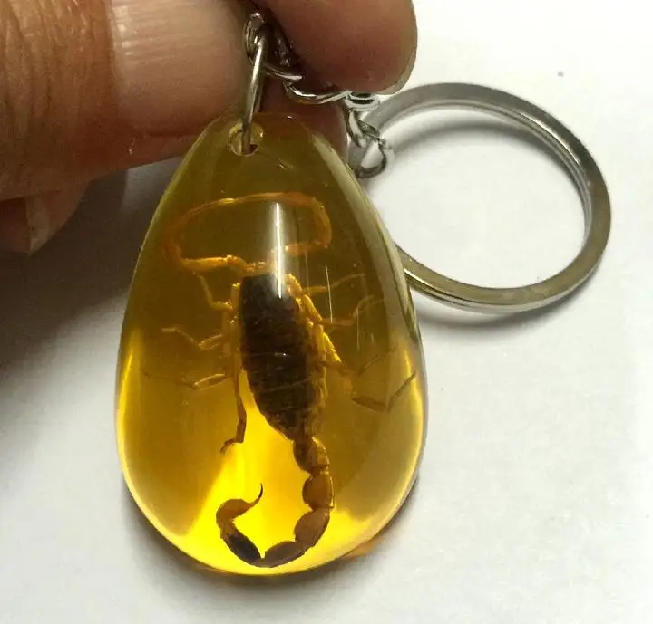 

30 pcs charming gold scorpion jewelry yellow back keychain