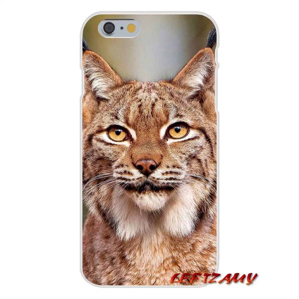 Для Samsung Galaxy S3 S4 S5 MINI S6 S7 edge S8 S9 Plus Note 2 3 4 5 8 Lynx Caracals аксессуары для котенка Чехлы