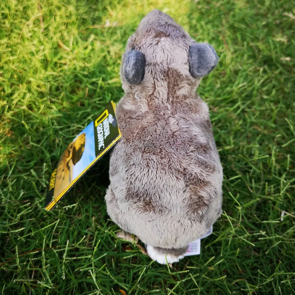 National Geographic Hyracid игрушки не хомяк как кролик хороший продукт PP коробка для игры плюшевые подарки
