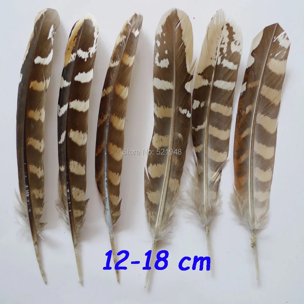 Wholesale 50pcs / 100 pcs 12-18 cm Natural beautiful pheasant chicken feathers party home for crafts decorations plume | Дом и сад
