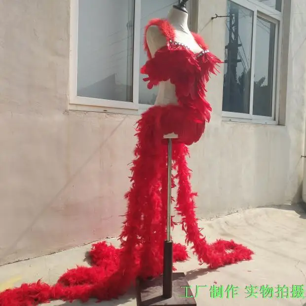 Для ночного клуба, бара, DJ женский певец сценическое перо нижнее белье джаз танец самба супер звезда костюм