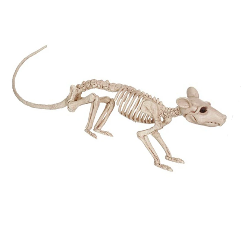Скелетонная крыса 100% пластик скелетоны для ужаса украшения Хэллоуина|skeleton