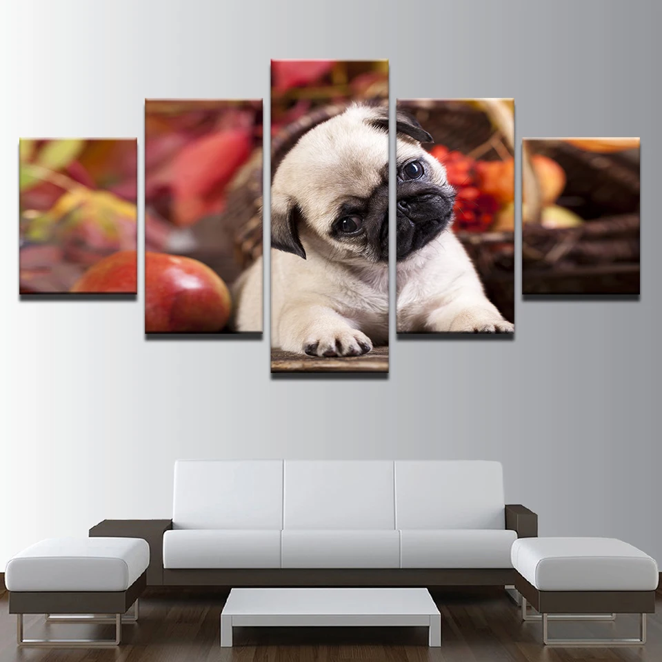 Wall Art HD с модульная фото рамки 5 шт. милый мопс щенков и плакат изображением