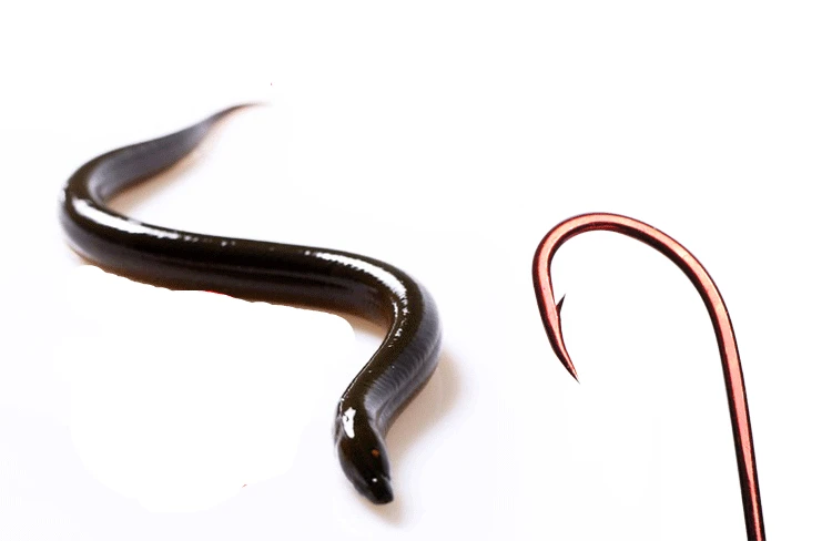Mustad кровяные крючки для Червяков для морской рыбалки 90234 np# Длинные приманки, острые Крючки колючие нержавеющие морской угорь крючки 20 упаковок/лот