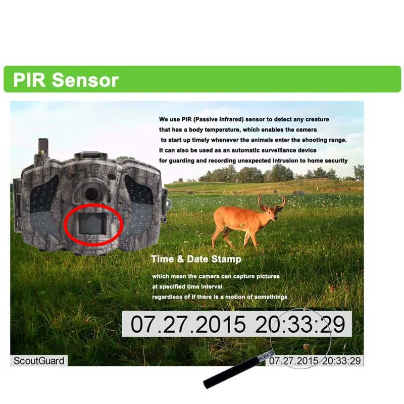 Bolyguard Hunting Camera 36MP MMS SMS 3G 940nm Night Vision 100ft wild thermal imager Scout trail game camera photo trap | Спорт и