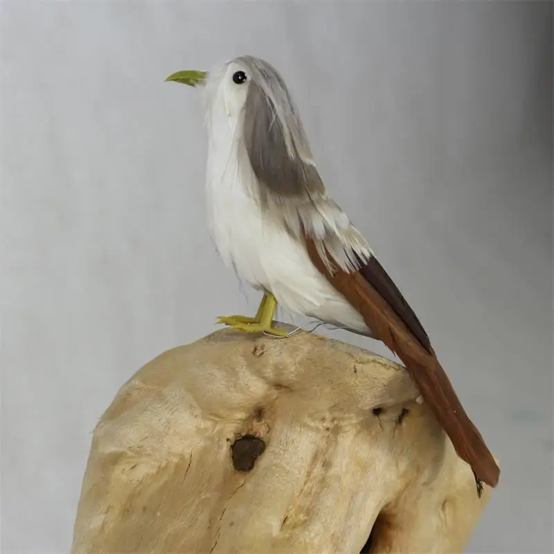 Моделирование Птица воробья Цвет Перо птица сад орнамент клетка для птиц