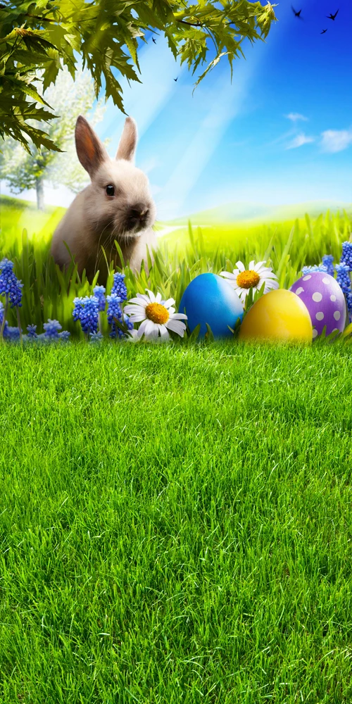 

Фон для фотосъемки новорожденных с изображением поеденного кролика для студийной детской фотосъемки