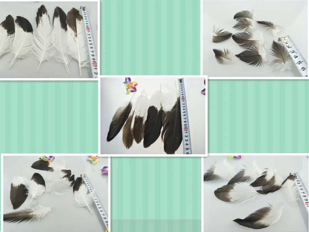 Бесплатная доставка Оптовая продажа 10 шт. дефицитные натуральные золотые перья