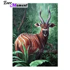 Алмазная живопись с антилопом, алмазная картина Стразы ручной работы, полноразмерное украшение, алмазная вышивка ASF1583