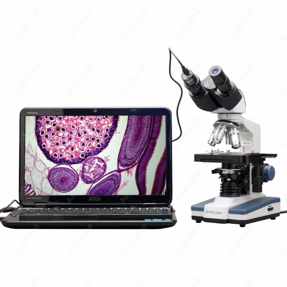 AmScope Supplies 40X-2000X LED Digital Binocular Compound Microscope with 3D Stage + USB Camera | Инструменты
