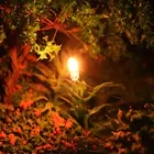 MP02W 3 мм прозрачный миниатюрные лампочки 12V зерна пшеницы лампы теплый белый новый