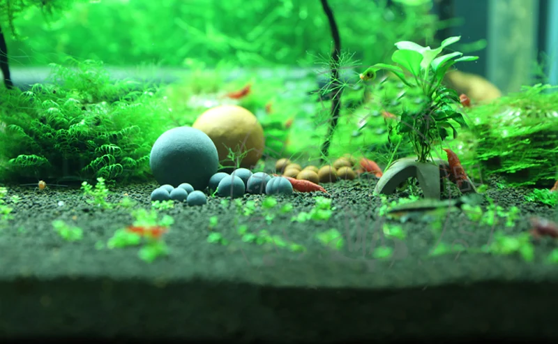 Бак для креветки с красной Пчелкой и кристаллами турмалиновый минеральный шар