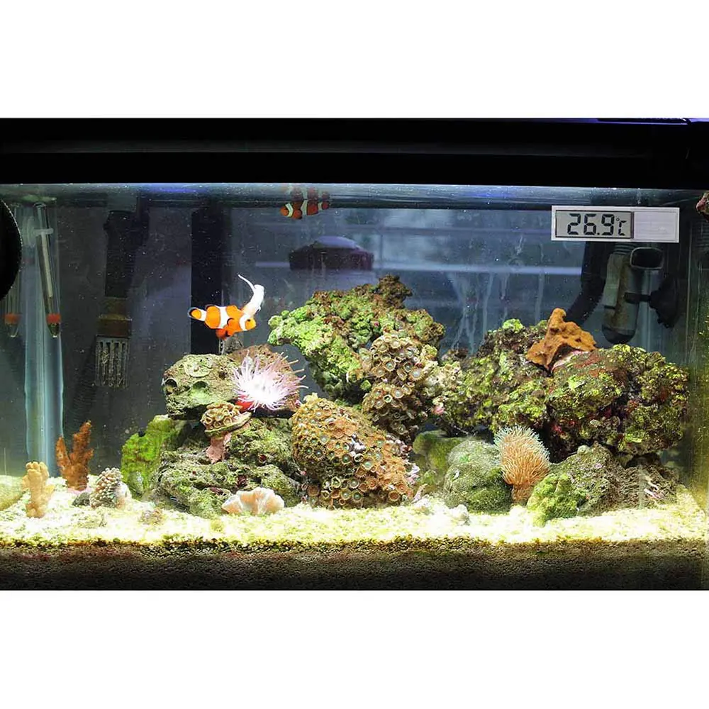 Новый многофункциональный LCD 3D цифровой Электронный температурный измеритель