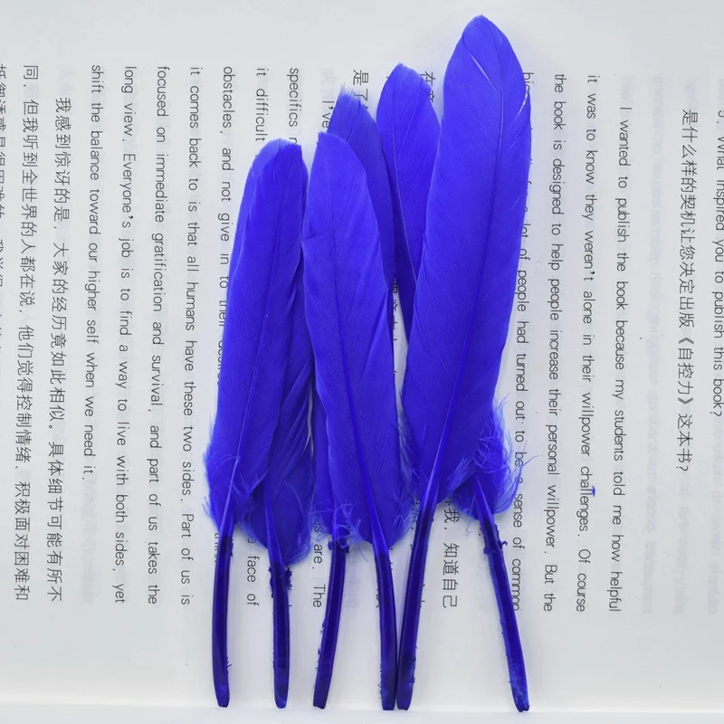 Royal blue Дешевые 100 шт./лот натуральный Гусь упаковка перьев ремесла, на стопу длиной от 10 до 15 см Сделай Сам цветные перья материалы бижутерия для декорирования Шлейфы - Цвет: Royal blue