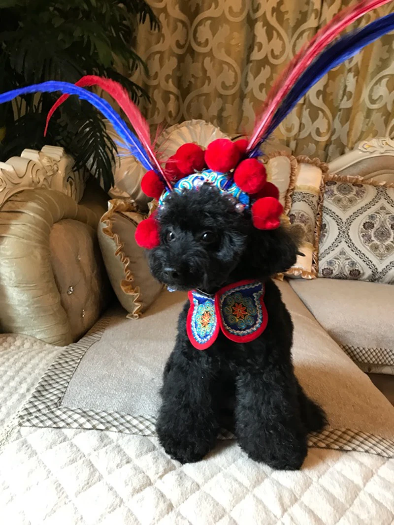 Забавный костюм для домашних животных шапка собак и кошек головной убор