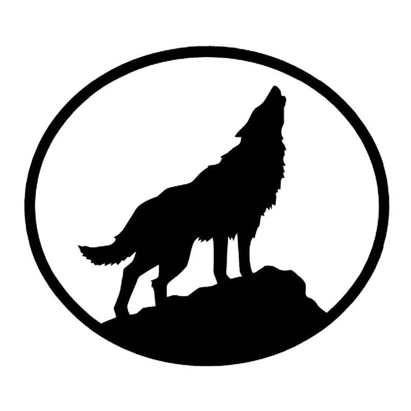 

13,5*12