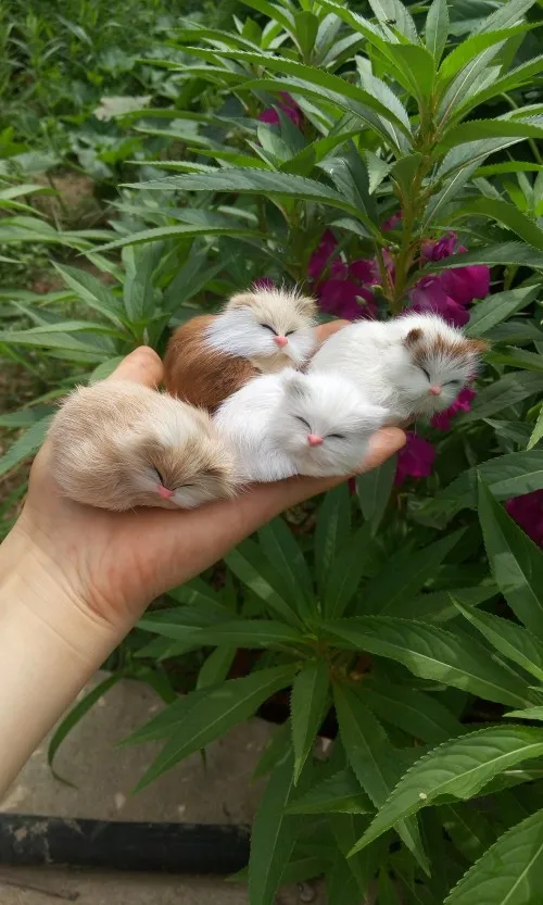 Мини модель милого кота 50 шт. в партии полиэтилен и меха спальный котенок подарок