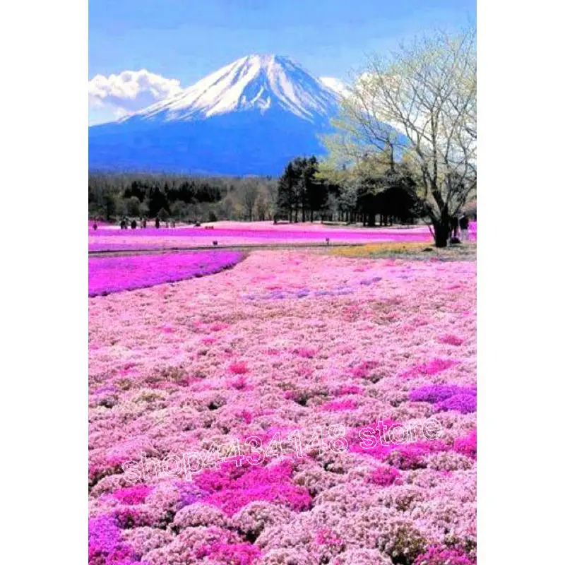 Алмазная 5d живопись сделай сам картина с изображением цветущей вишни Mt. Fuji полная