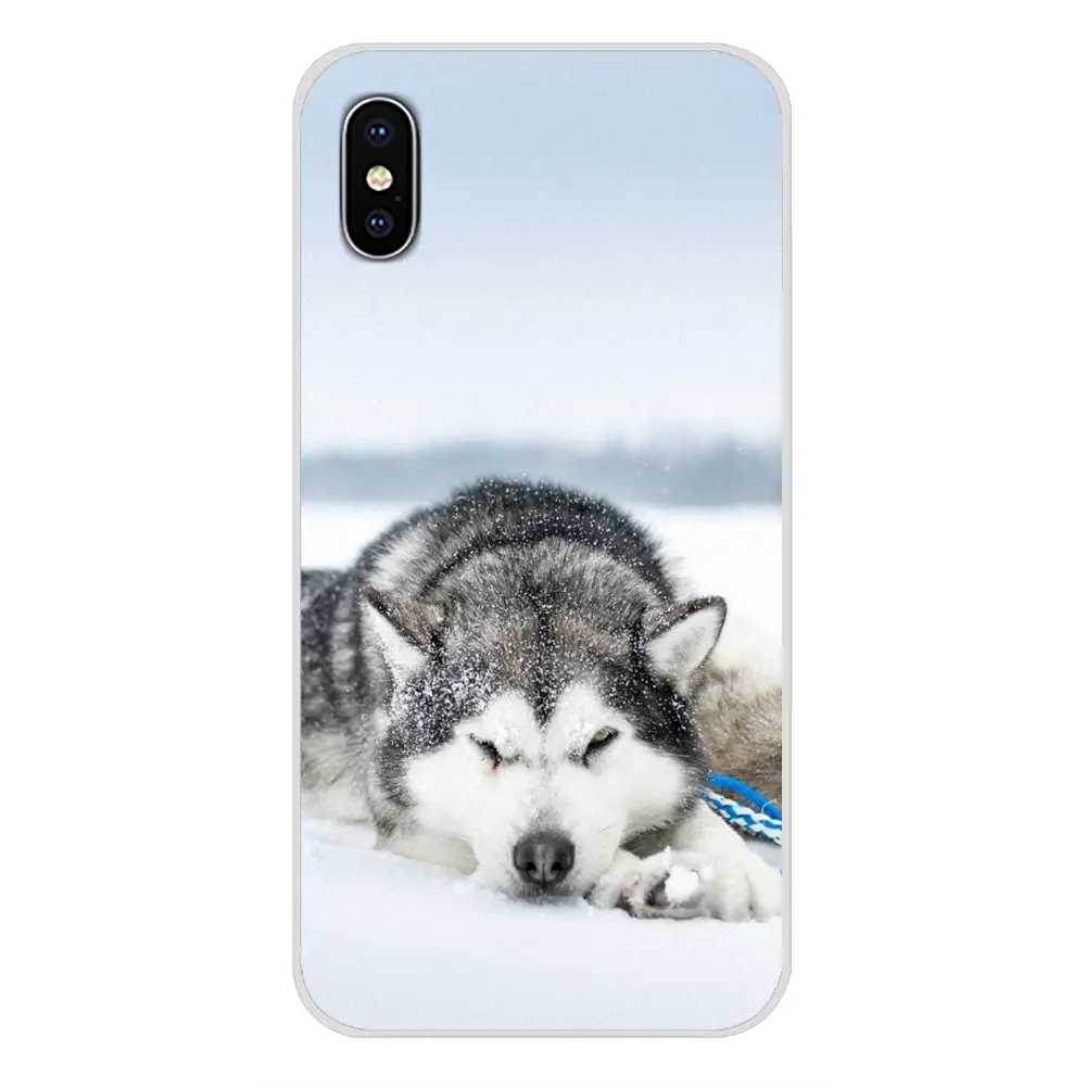 Щенки сибирской хаски для Huawei Mate Honor 4C 5C 5X 6X 7 7A 7C 8 9 10 8C 8X 20 Lite Pro Аксессуары чехлы