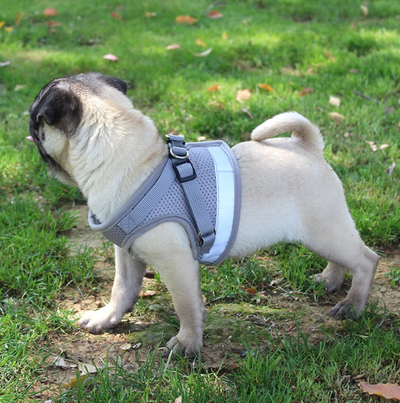 

Dog Cat Harness Pet Adjustable Reflective Vest Walking Lead Leash for Puppy Polyester Mesh Harness for Small Medium Dog