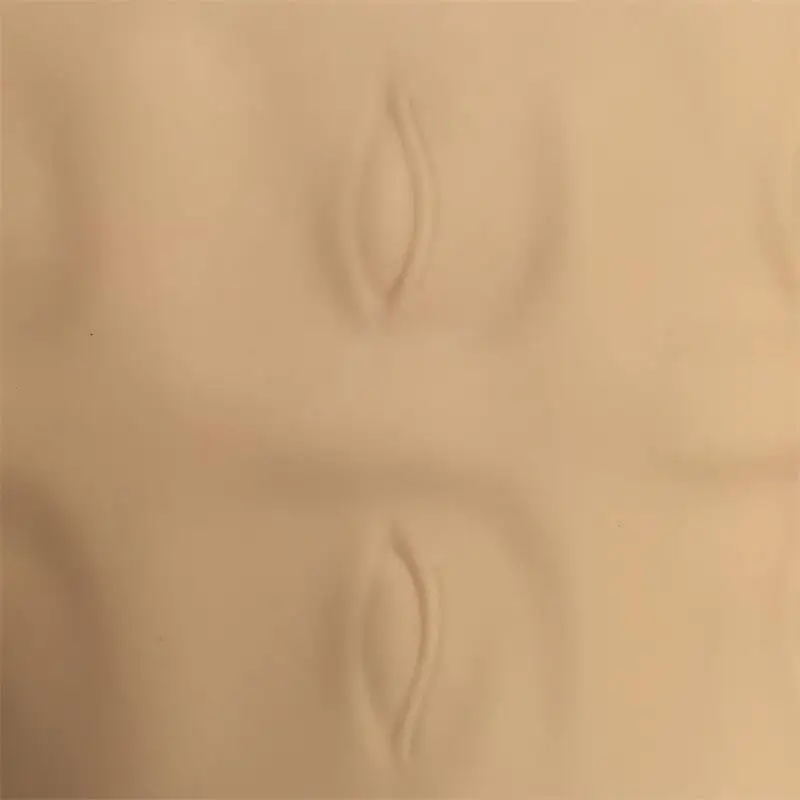

3D Eyebrow Practice Skin 5 Pieces Free Shipping