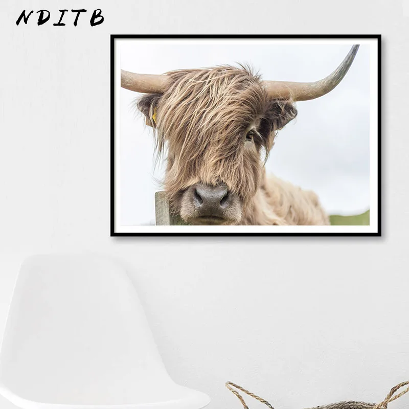 NDITB Highland корова настенная живопись холст постеры с животными и принтами