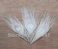 50pcslot dyed creamy white peacock eye feather peacock feather eyes lenghth12 0 15 0cm eye2 5 3 5cm freeshipping