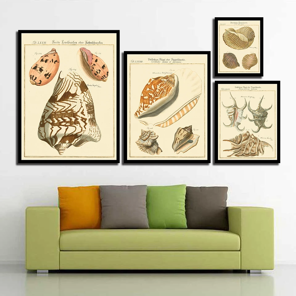 Постер в скандинавском стиле с принтом изящных ракушек пейзаж картины для