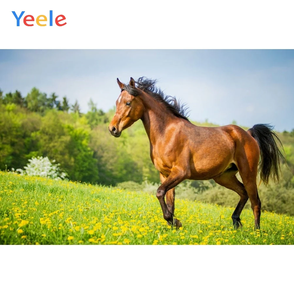 

Yeele Vinyl Horse Grassland Nature Scene Children Birthday Party Photography Background Baby Photographic Backdrop Photo Studio