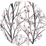 Colour 7 Popsoket музыкальный персональный держатель для пальца телефона растягивающийся Карманный кронштейн гнезда расширяющаяся подставка - Цвет: Colour 7