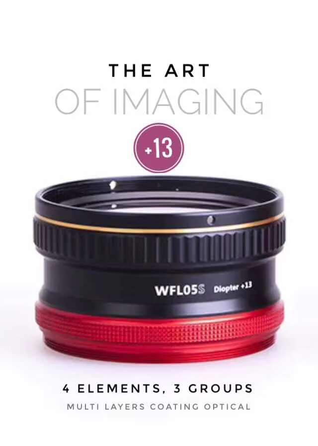 Weefine Wfl05s + 13 макро объектива телеконвертера влажный объектив M67 крепление для Sony Rx