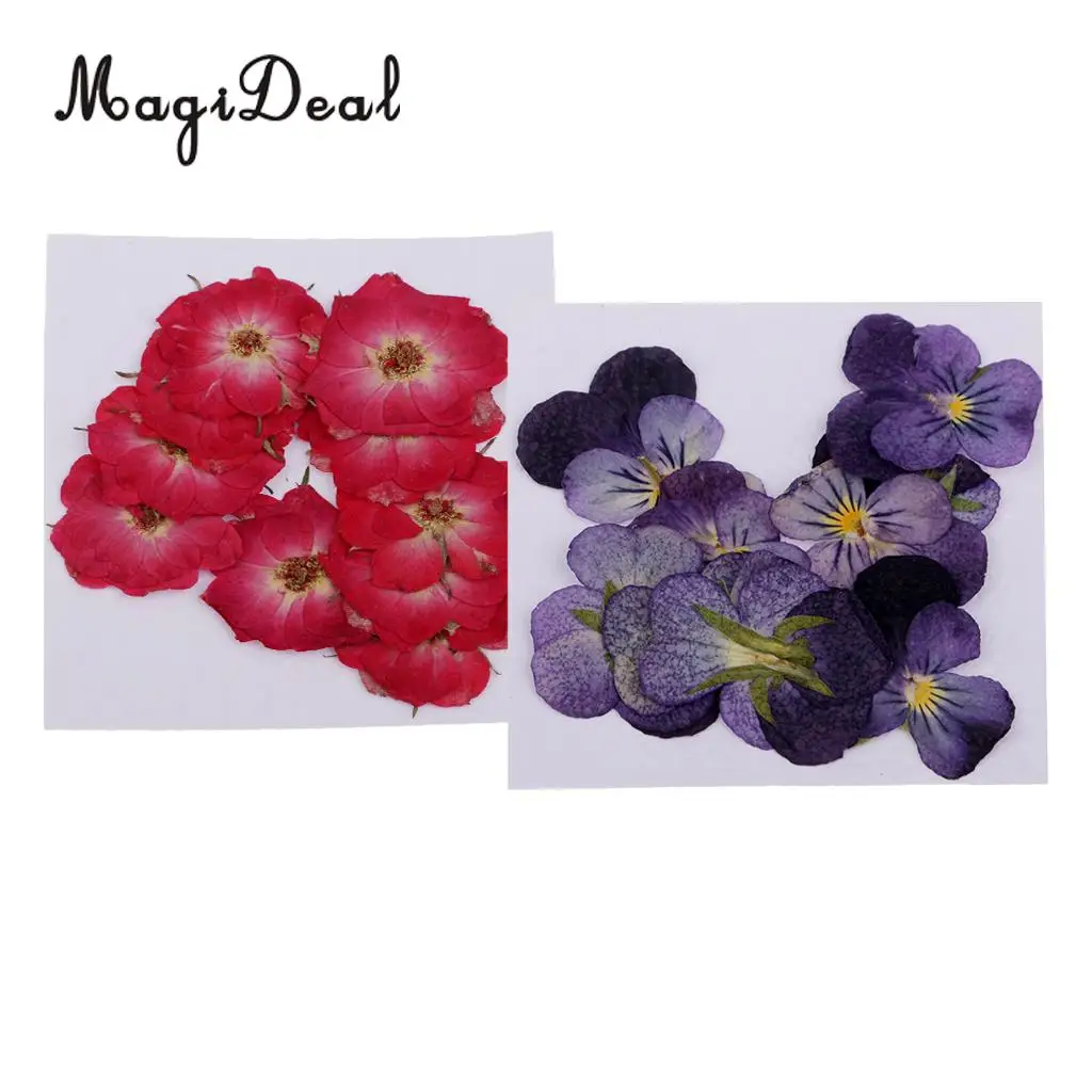 

22pcs Natural Real Rose Flower Violet Dried Pressed Flowers for Scrapbooking Crafts