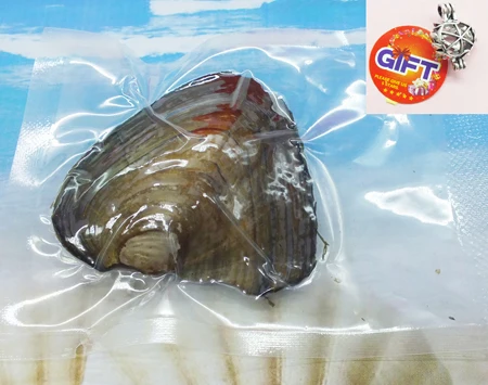 1PCS Oyster 1 шт. вакуумная упаковка 6-7 мм 4A рисовое зерно натуральный пресноводный жемчуг устрицы, купить! Случайный подарок с жемчужной клеткой - Цвет: 1PCS Oyster