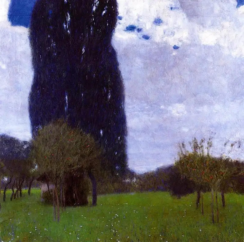 

Handmade oil painting reproduction The Tall Poplar Trees II by Gustav Klimt