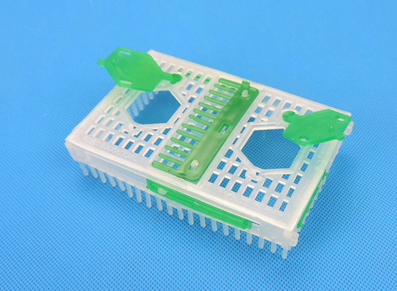 Пчела оборудования Пчеловодства Королева клетке Ligustica Спинола Пчелы Apis mellifera Toolsl30