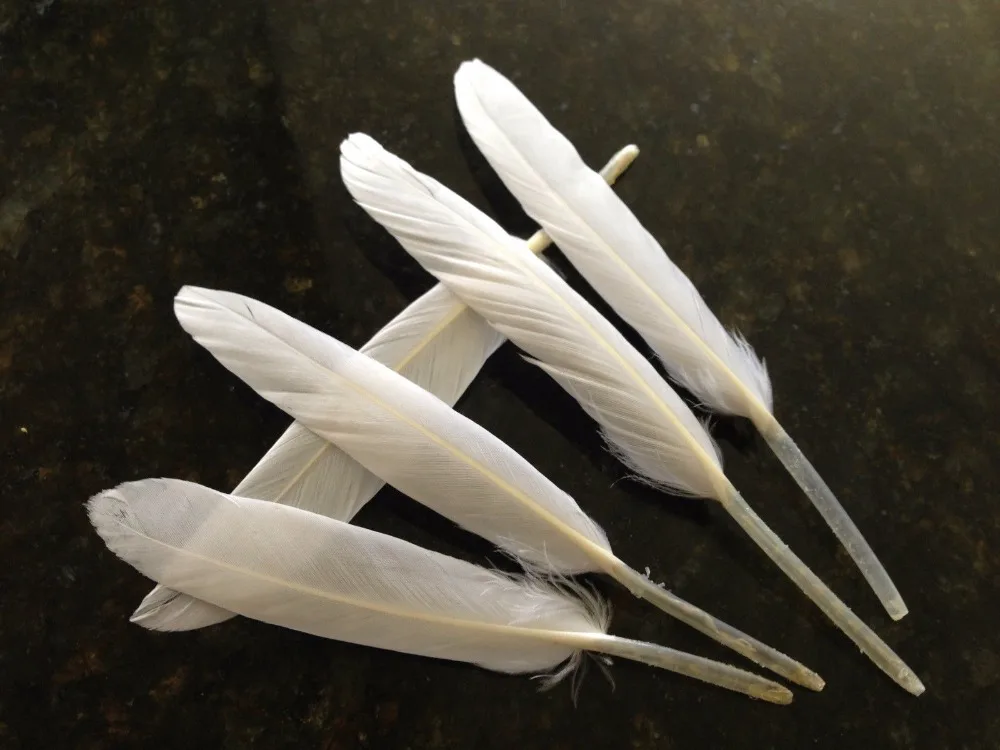 New 20pcs snow white goose duck feathers 10-15cm 4-6inch in length DIY jewelry crafts accessrorys home&ampgarden | Дом и сад
