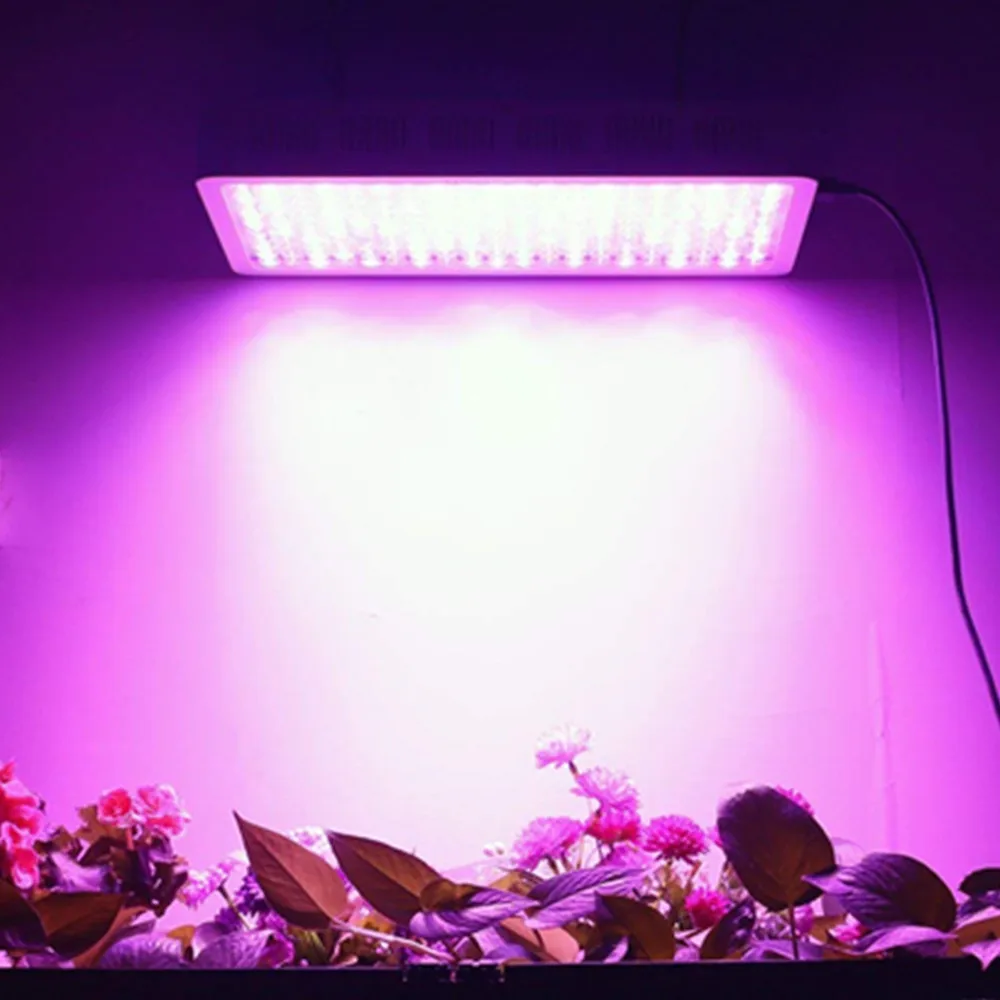 Светодиодный светильник полного спектра для выращивания растений 600 Вт 800 1000 1200