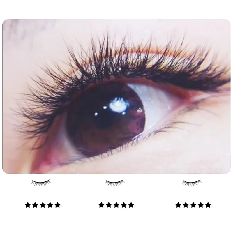 Предварительно сделанные объемные ресницы вентиляторы 5D фен для придания объема