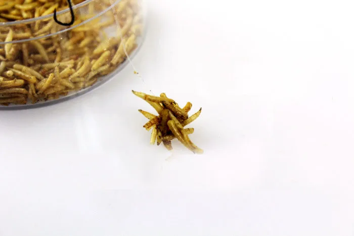 1 трубка клей для рыболовной приманки личинок кубики мелкие катышки приманка