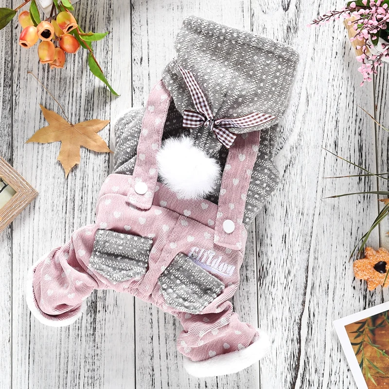 Кролик милые собаки досуг четыре ноги маленький средний животное Повседневная