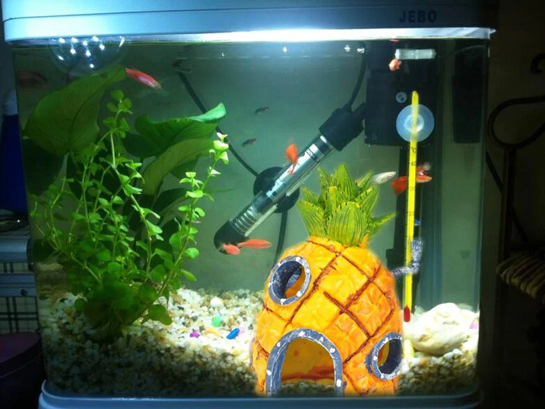 Милый мультфильм Губка Боб Квадратные Штаны дом в форме ананаса аквариум